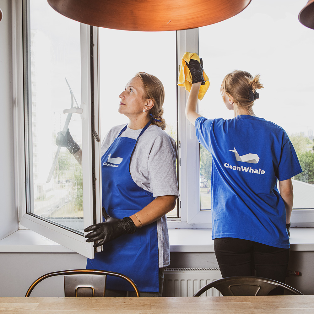 Profesionálne umývanie okien - umyjeme vaše okná za vás